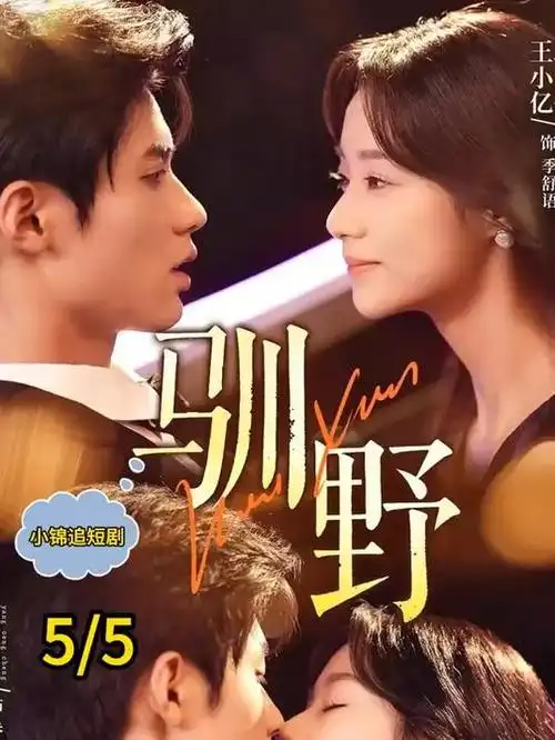 硅谷之上 热播电视剧全集在线观看